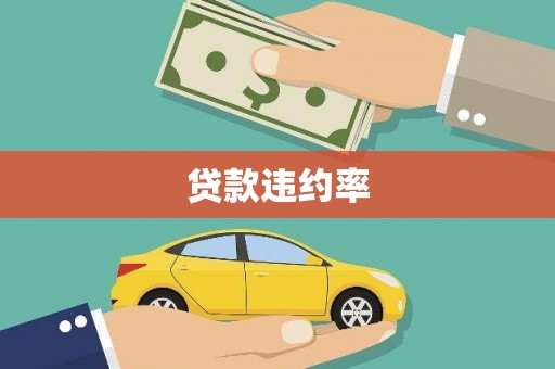八宿贷款违约率