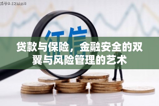 八宿贷款与保险，金融安全的双翼与风险管理的艺术