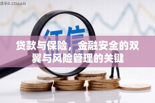 八宿贷款与保险，金融安全的双翼与风险管理的关键