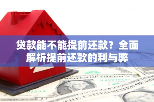 八宿贷款能不能提前还款？全面解析提前还款的利与弊