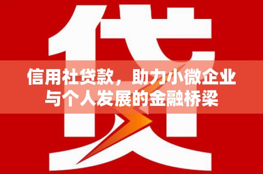 八宿信用社贷款，助力小微企业与个人发展的金融桥梁