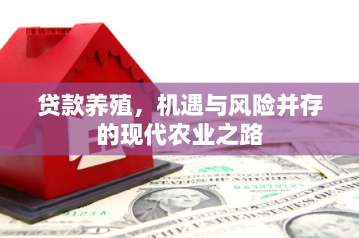 八宿贷款养殖，机遇与风险并存的现代农业之路