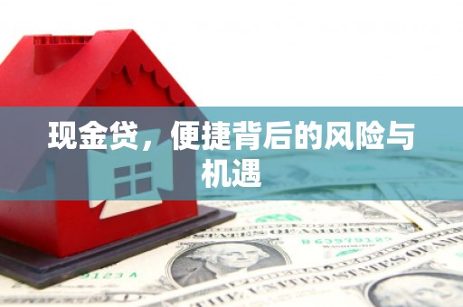 八宿现金贷，便捷背后的风险与机遇
