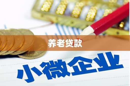 八宿养老贷款