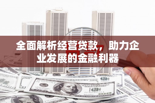 八宿全面解析经营贷款，助力企业发展的金融利器