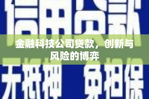 八宿金融科技公司贷款，创新与风险的博弈