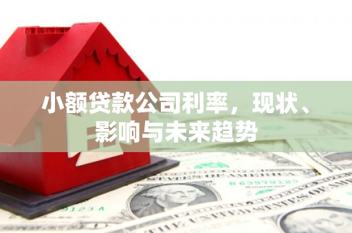 八宿小额贷款公司利率，现状、影响与未来趋势