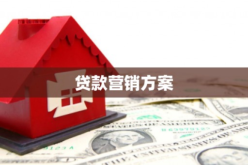 八宿贷款营销方案