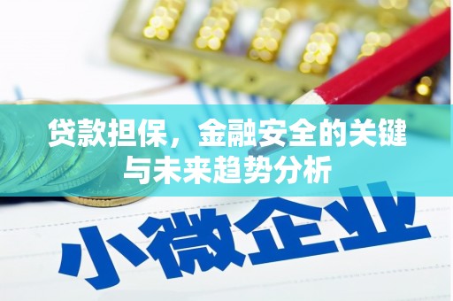 八宿贷款担保，金融安全的关键与未来趋势分析