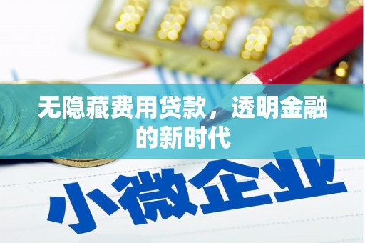 八宿无隐藏费用贷款，透明金融的新时代