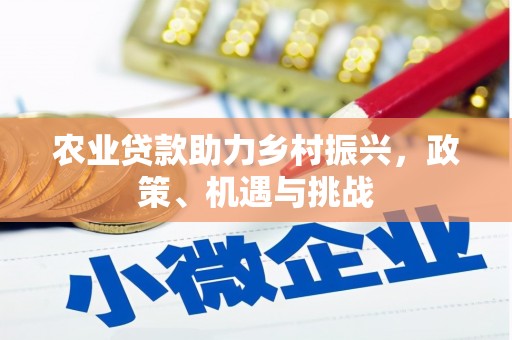 八宿农业贷款助力乡村振兴，政策、机遇与挑战