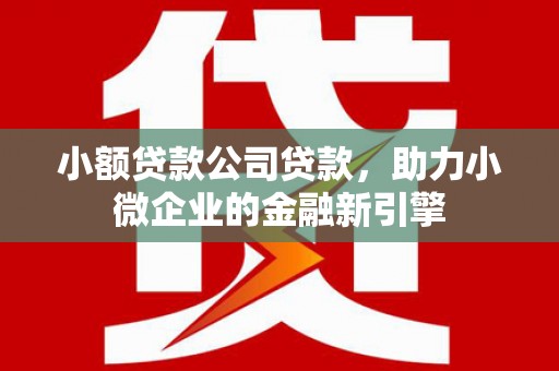 八宿小额贷款公司贷款，助力小微企业的金融新引擎