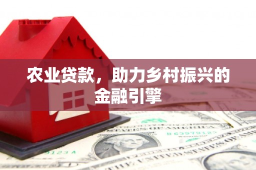 八宿农业贷款，助力乡村振兴的金融引擎