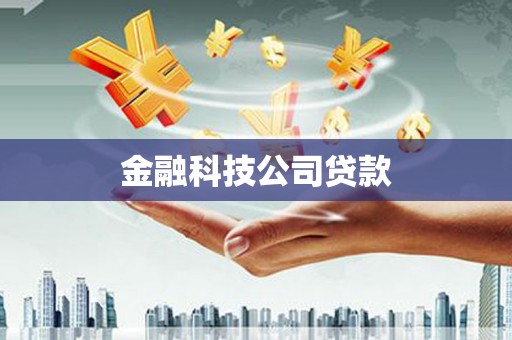 八宿金融科技公司贷款