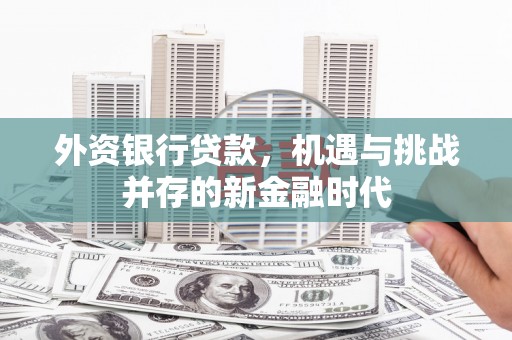 八宿外资银行贷款，机遇与挑战并存的新金融时代