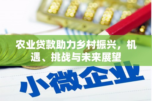 八宿农业贷款助力乡村振兴，机遇、挑战与未来展望