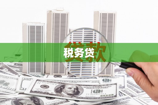 八宿税务贷
