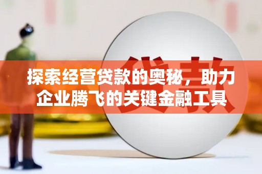 八宿探索经营贷款的奥秘，助力企业腾飞的关键金融工具
