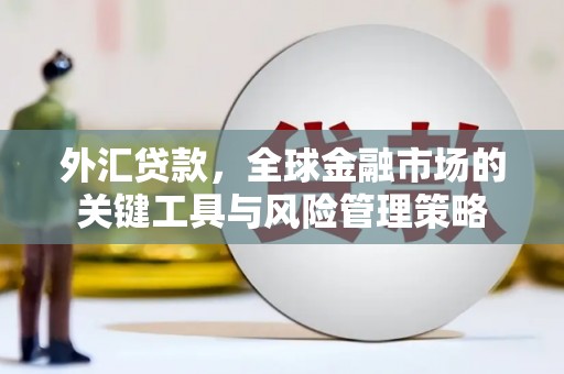 八宿外汇贷款，全球金融市场的关键工具与风险管理策略
