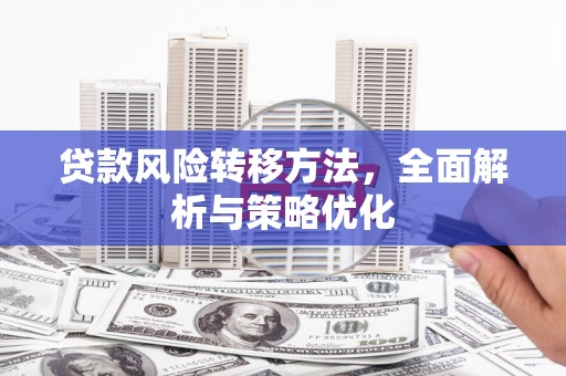 八宿贷款风险转移方法，全面解析与策略优化