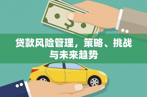 八宿贷款风险管理，策略、挑战与未来趋势