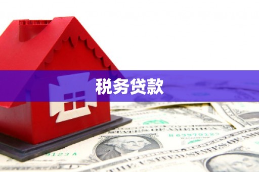 八宿税务贷款