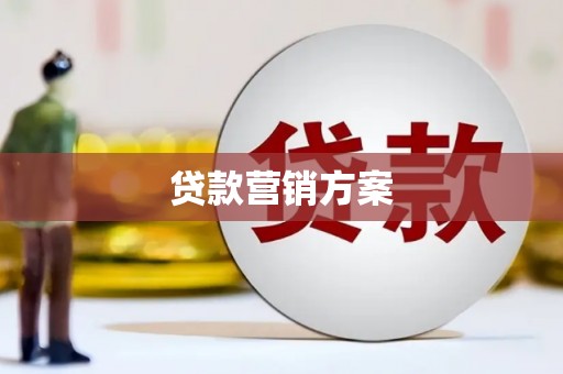 八宿贷款营销方案
