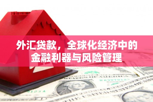 八宿外汇贷款，全球化经济中的金融利器与风险管理