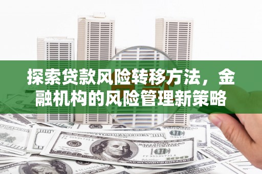 八宿探索贷款风险转移方法，金融机构的风险管理新策略
