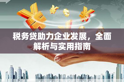 八宿税务贷助力企业发展，全面解析与实用指南