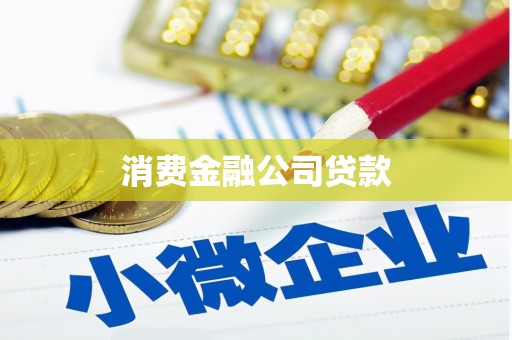 八宿消费金融公司贷款