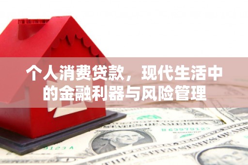 八宿个人消费贷款，现代生活中的金融利器与风险管理
