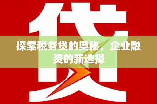 八宿探索税务贷的奥秘，企业融资的新选择