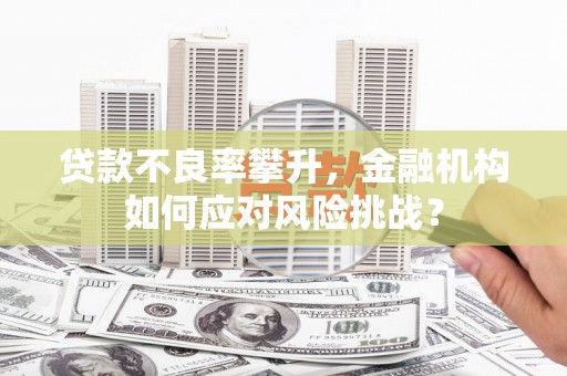 八宿贷款不良率攀升，金融机构如何应对风险挑战？