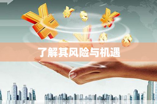 八宿了解其风险与机遇