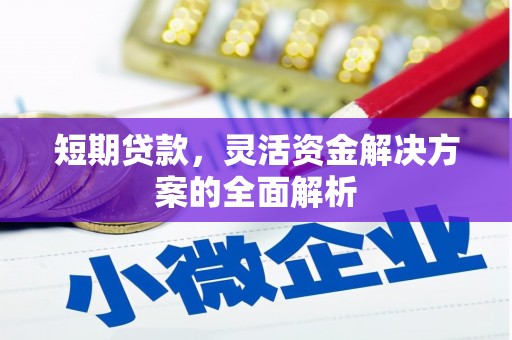 八宿短期贷款，灵活资金解决方案的全面解析