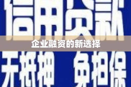 八宿企业融资的新选择
