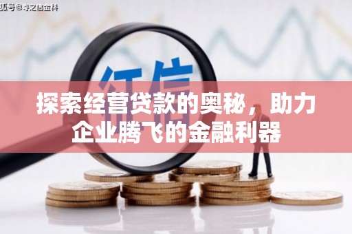 八宿探索经营贷款的奥秘，助力企业腾飞的金融利器