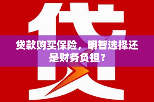 八宿贷款购买保险，明智选择还是财务负担？