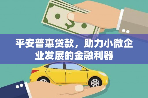 八宿平安普惠贷款，助力小微企业发展的金融利器
