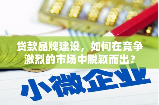 八宿贷款品牌建设，如何在竞争激烈的市场中脱颖而出？