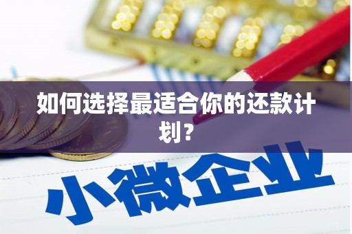 八宿如何选择最适合你的还款计划？