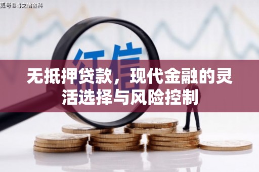 八宿无抵押贷款，现代金融的灵活选择与风险控制