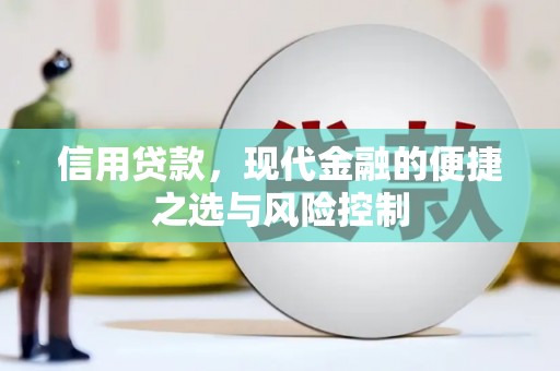 八宿信用贷款，现代金融的便捷之选与风险控制