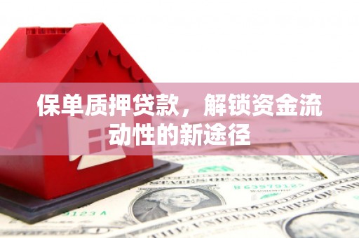八宿保单质押贷款，解锁资金流动性的新途径