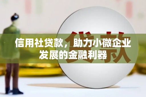 八宿信用社贷款，助力小微企业发展的金融利器