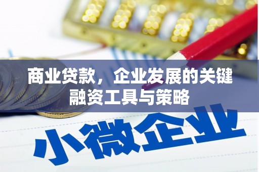 八宿商业贷款，企业发展的关键融资工具与策略