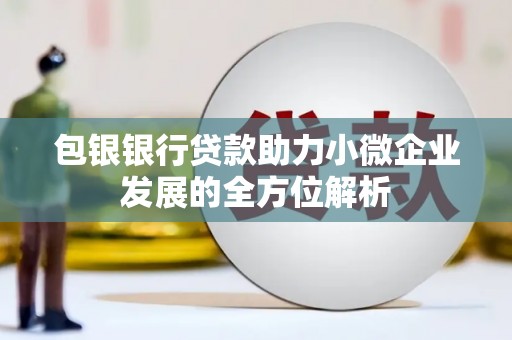 八宿包银银行贷款助力小微企业发展的全方位解析
