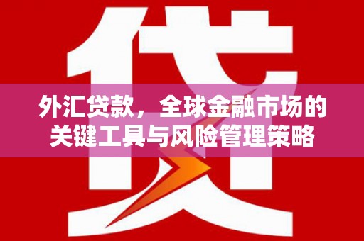 八宿外汇贷款，全球金融市场的关键工具与风险管理策略