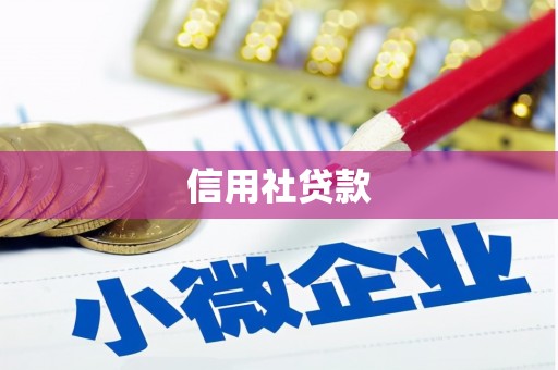 八宿信用社贷款